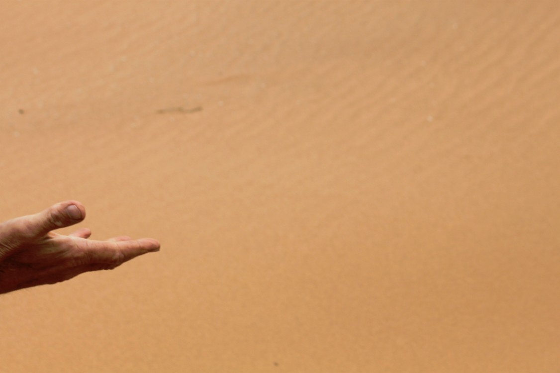 Namibie_LivingDesert_2015_Img0064