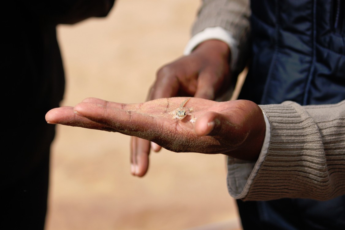 Namibie_LivingDesert_2015_Img0117