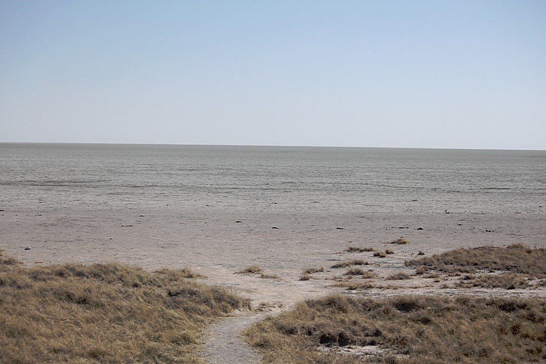 Namibie_Etosha2_2015_Img0076