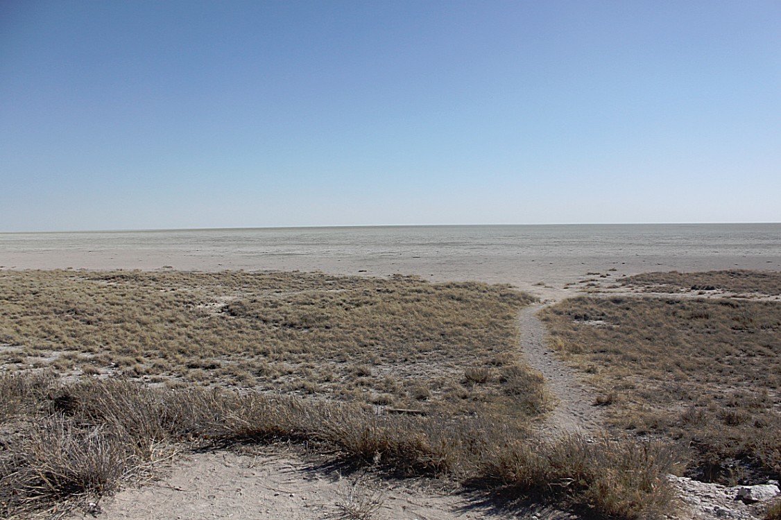 Namibie_Etosha2_2015_Img0077