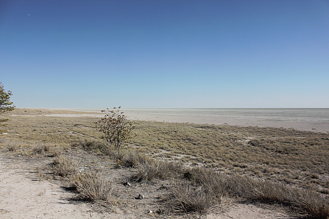 Namibie_Etosha2_2015_Img0078