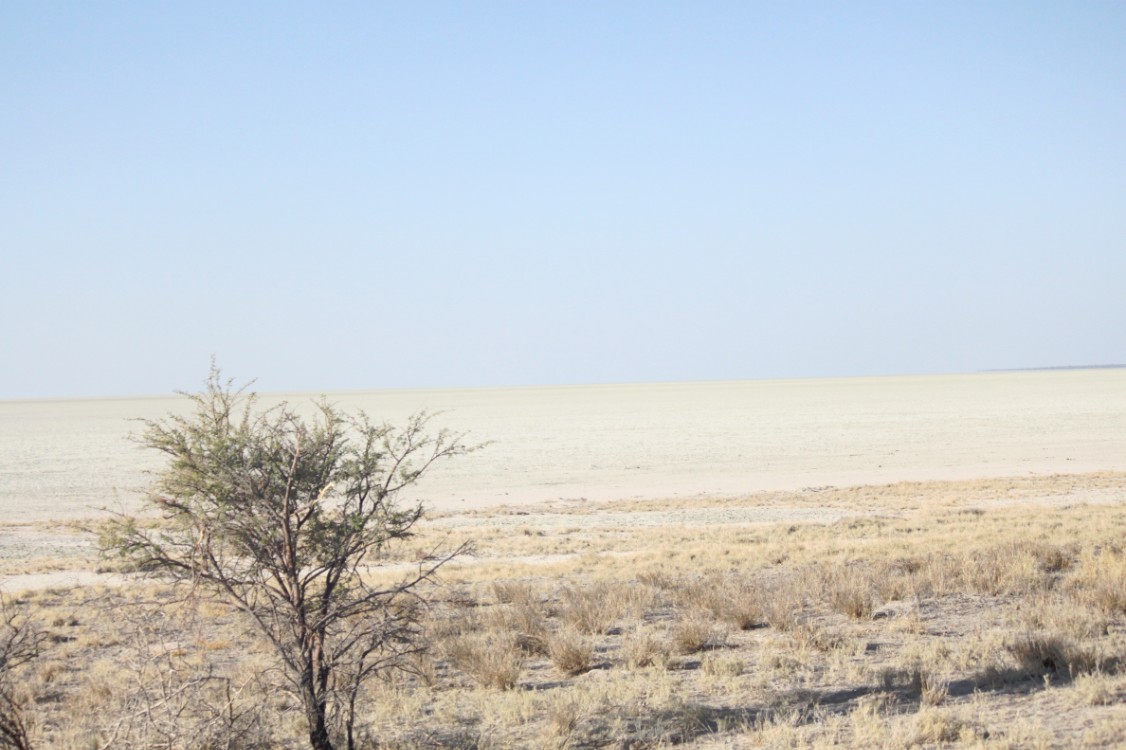 Namibie_Etosha5_2015_Img0001