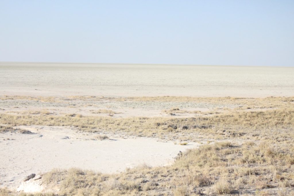 At the edge of the huge Etosha pan...