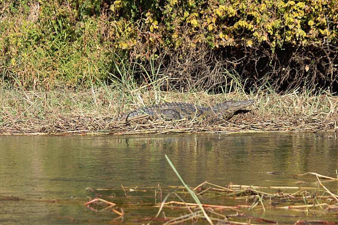 Botswana_Drotskis_2015_Img0045