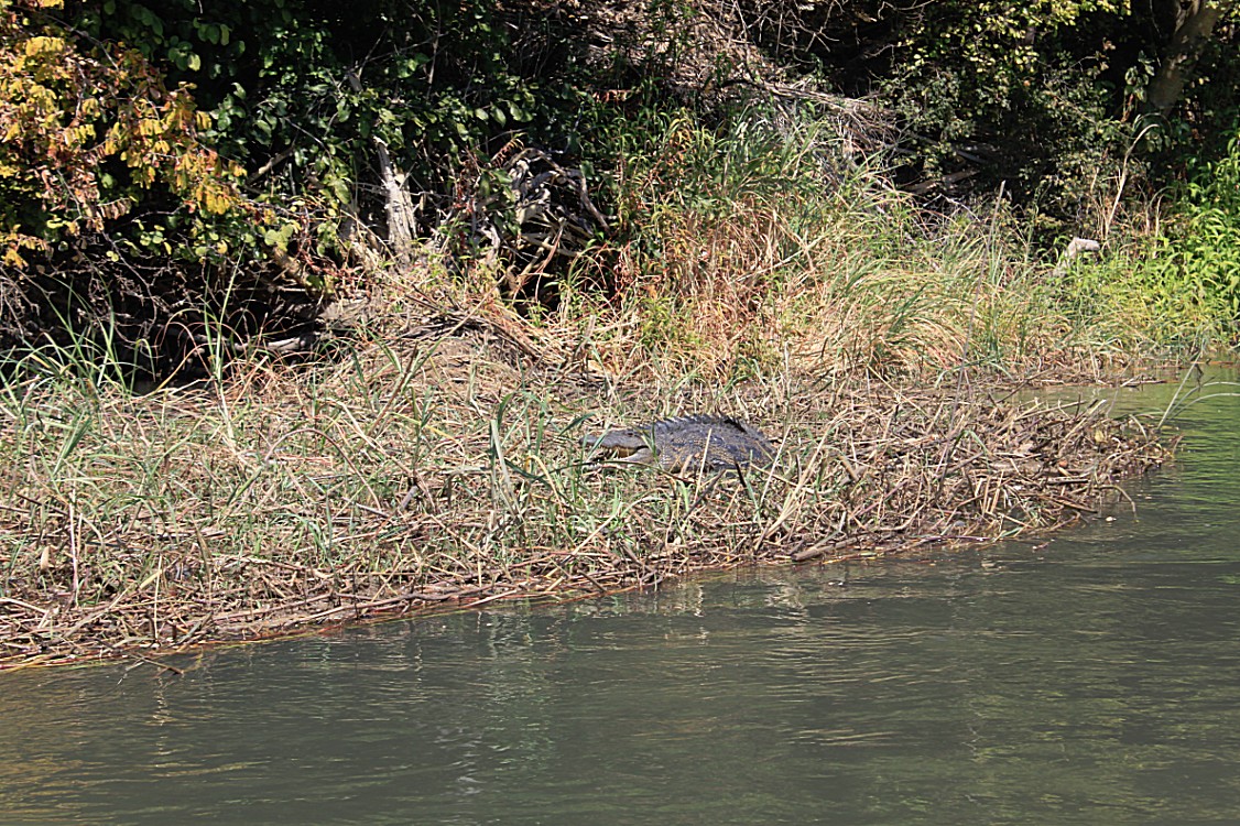 Botswana_Drotskis_2015_Img0050