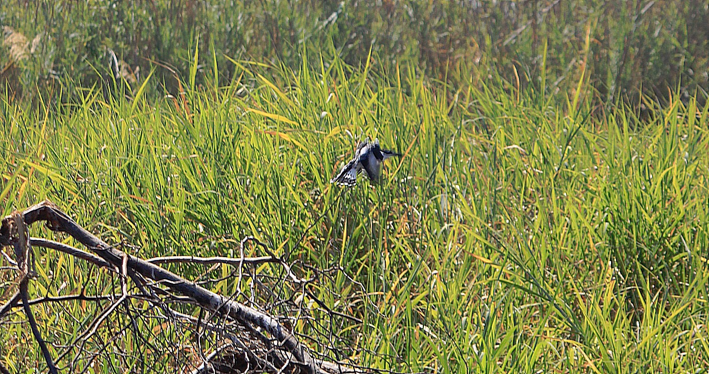 Botswana_Drotskis_2015_Img0062