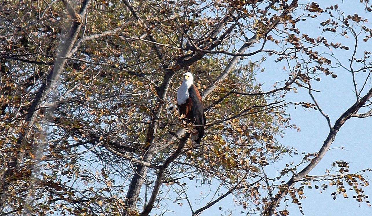 Namibie_Bagani_2015_Img0032