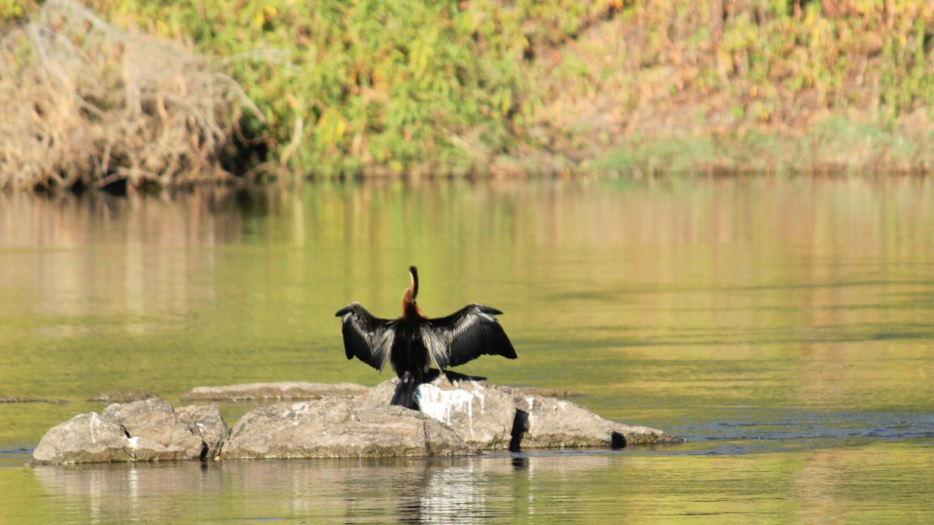 Namibie_Bagani_2015_Img0038