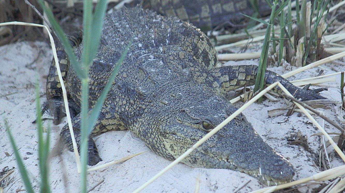 Namibie_Bagani_2015_Img0044