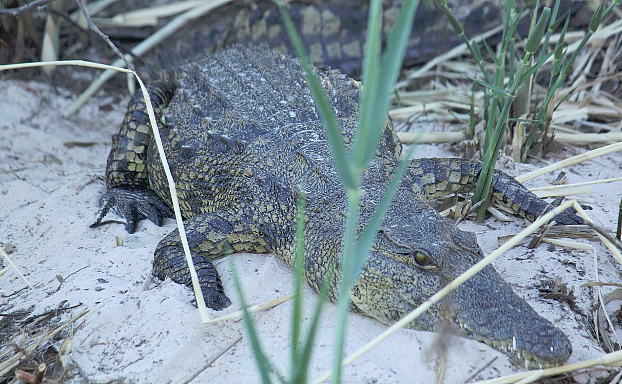 Namibie_Bagani_2015_Img0045