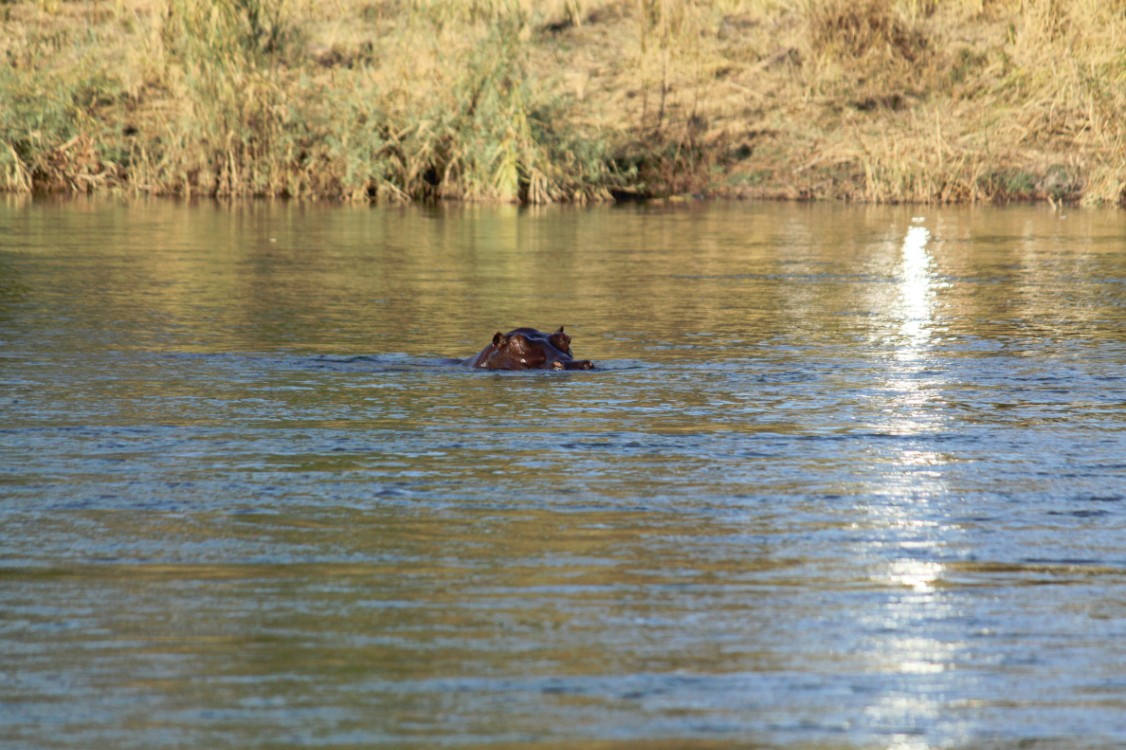 Namibie_Bagani_2015_Img0048