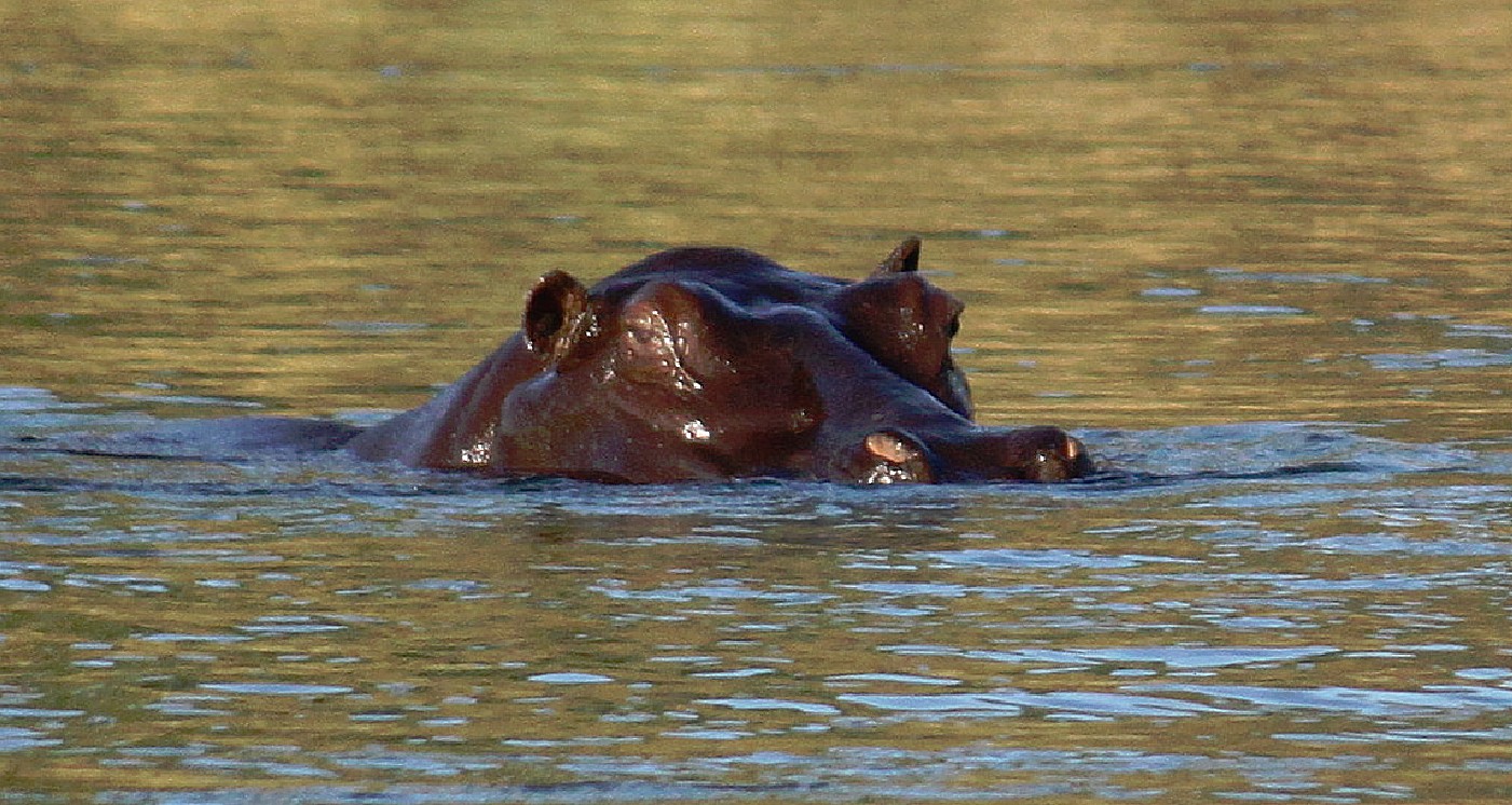 Namibie_Bagani_2015_Img0049