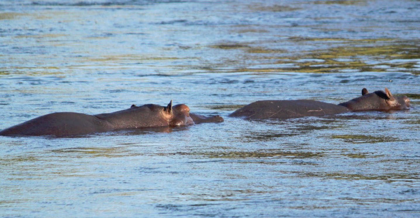 Namibie_Bagani_2015_Img0052