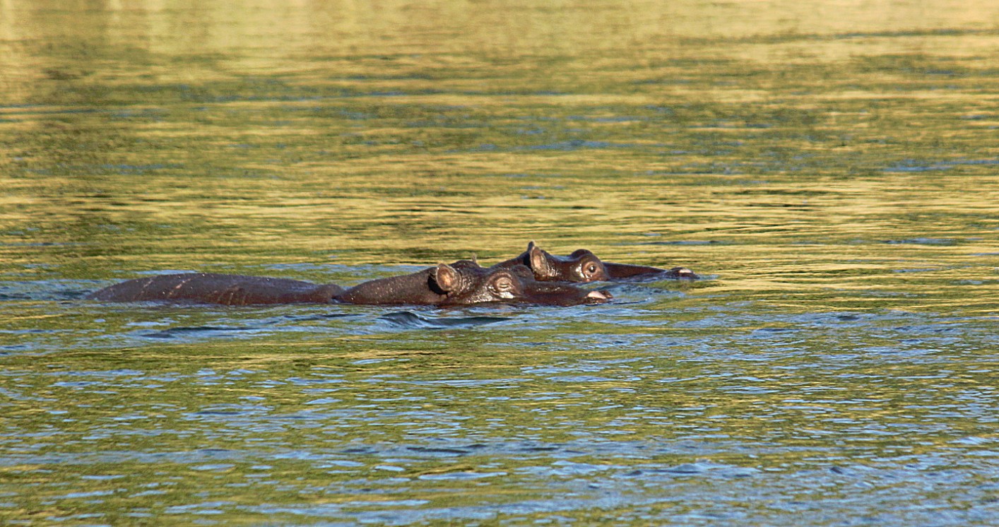 Namibie_Bagani_2015_Img0053