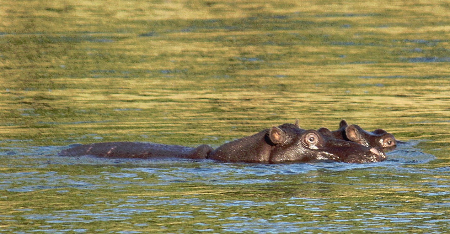 Namibie_Bagani_2015_Img0054