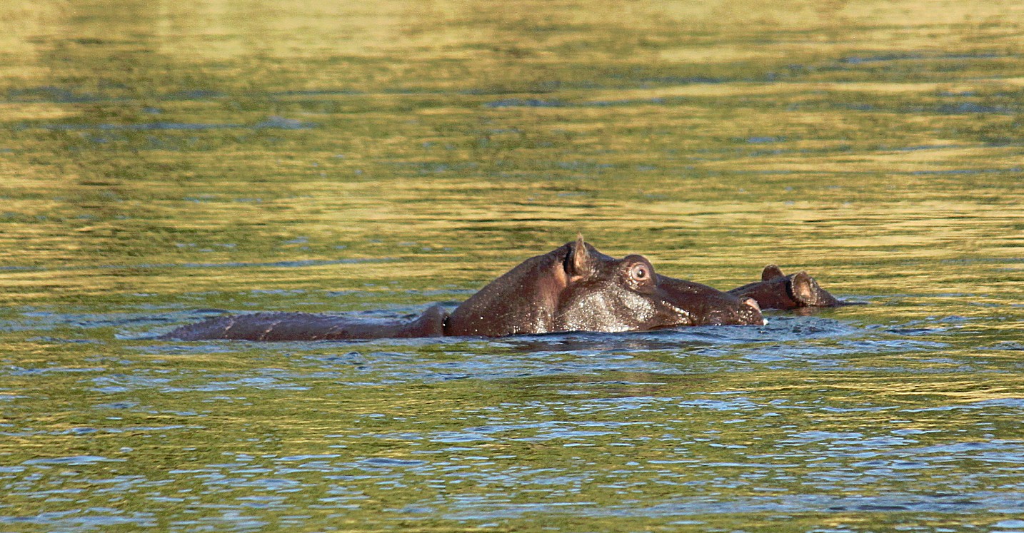 Namibie_Bagani_2015_Img0055