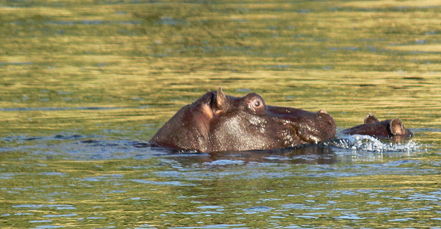 Namibie_Bagani_2015_Img0056