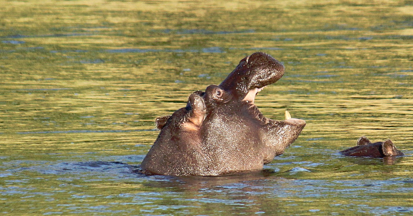 Namibie_Bagani_2015_Img0057