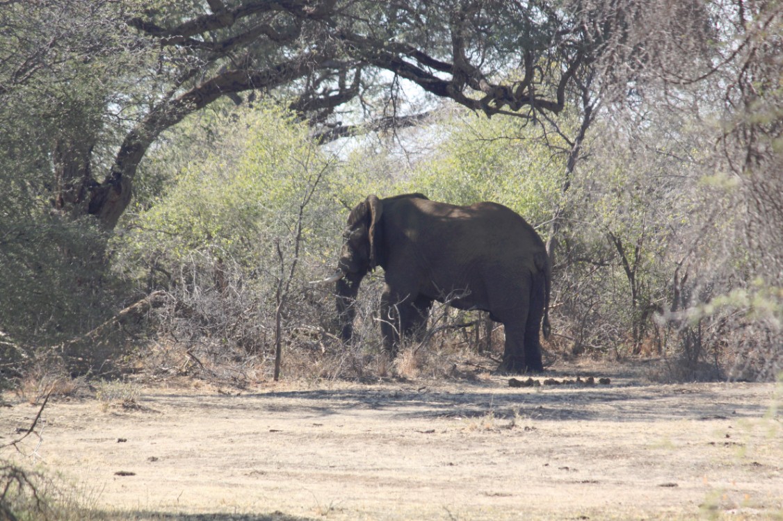 Namibie_Bagani_2015_Img0121