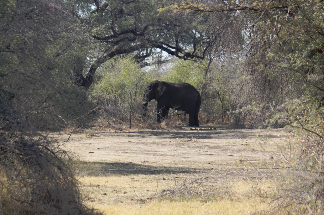 Namibie_Bagani_2015_Img0124