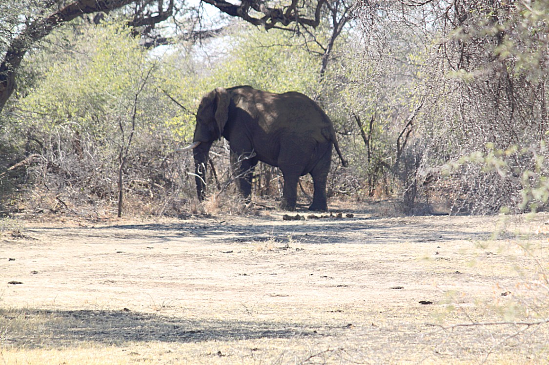 Namibie_Bagani_2015_Img0125