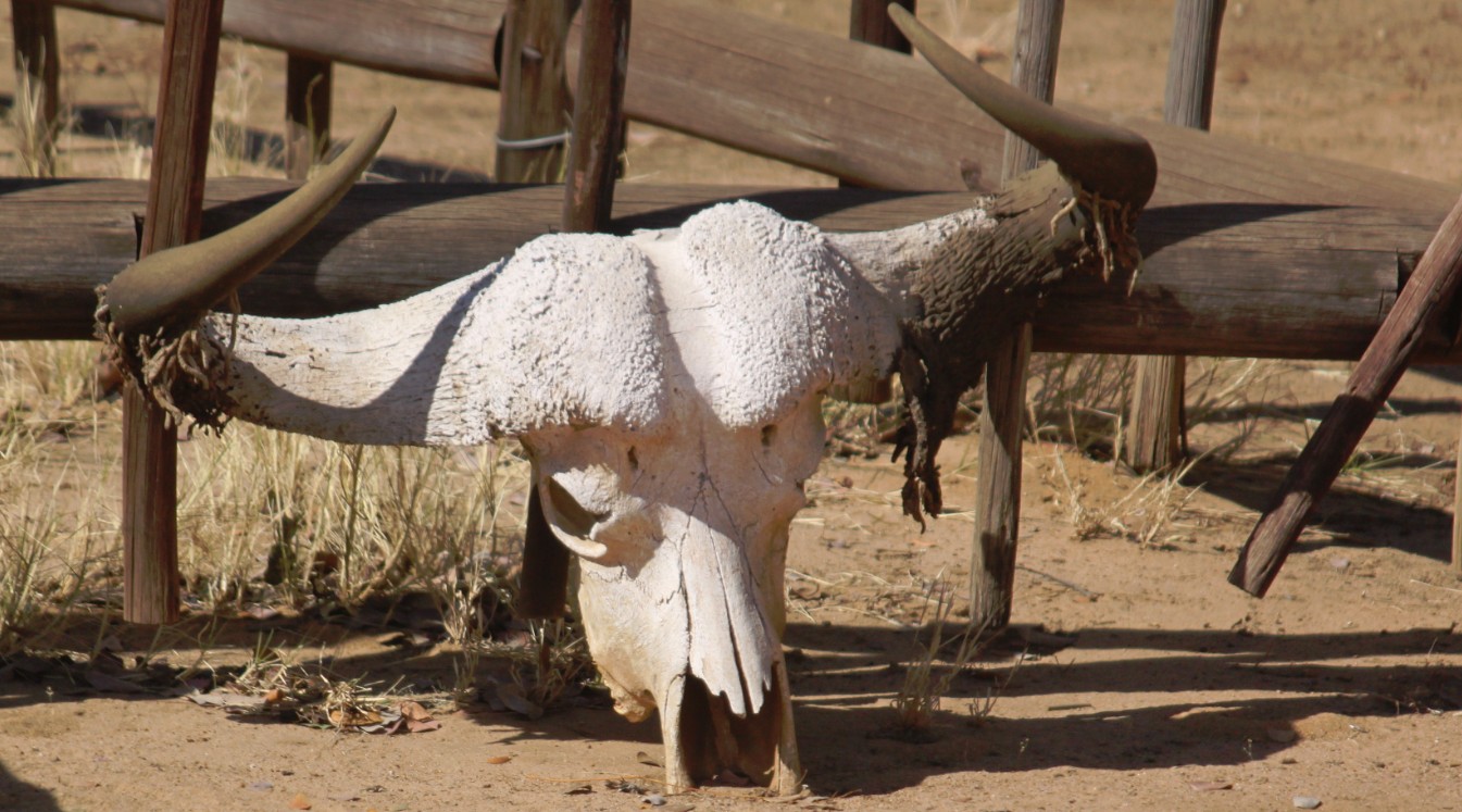 Namibie_Bagani_2015_Img0127