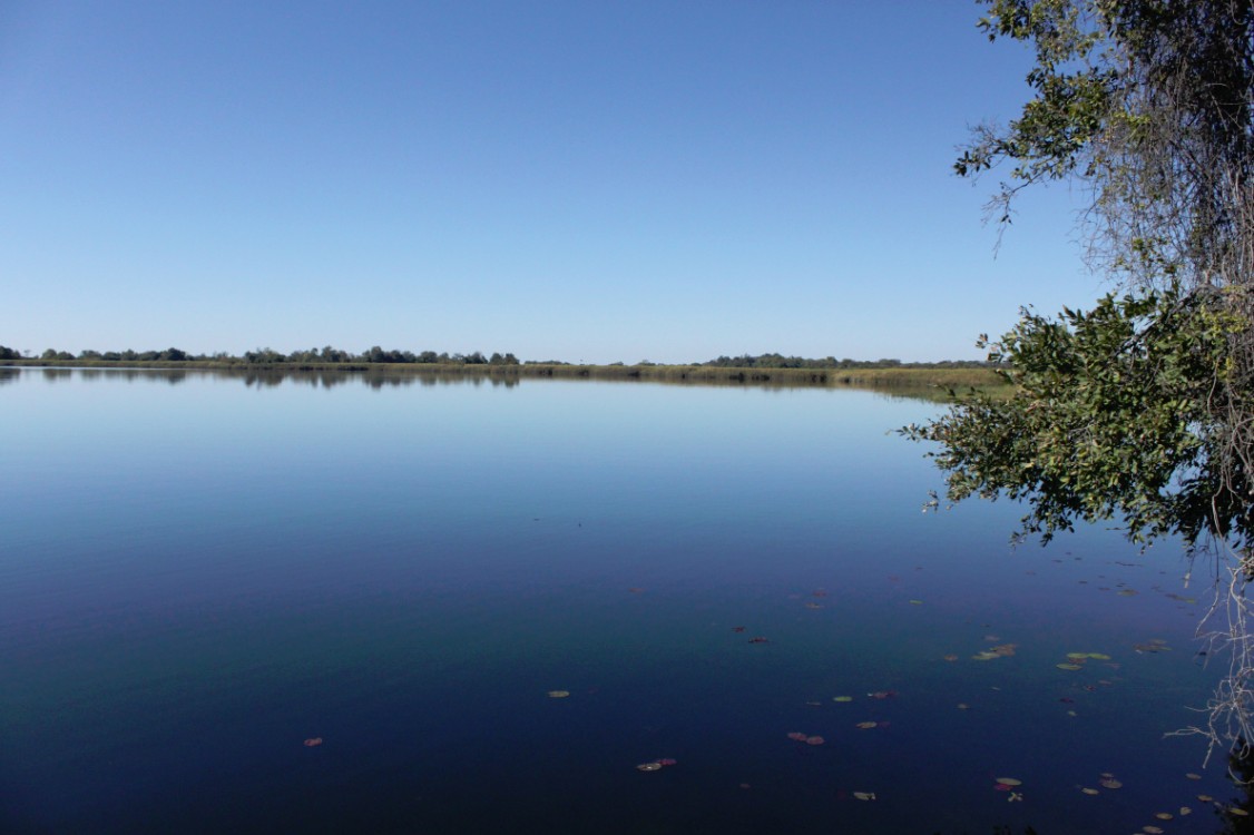 Botswana_Delta_2015_Img0004