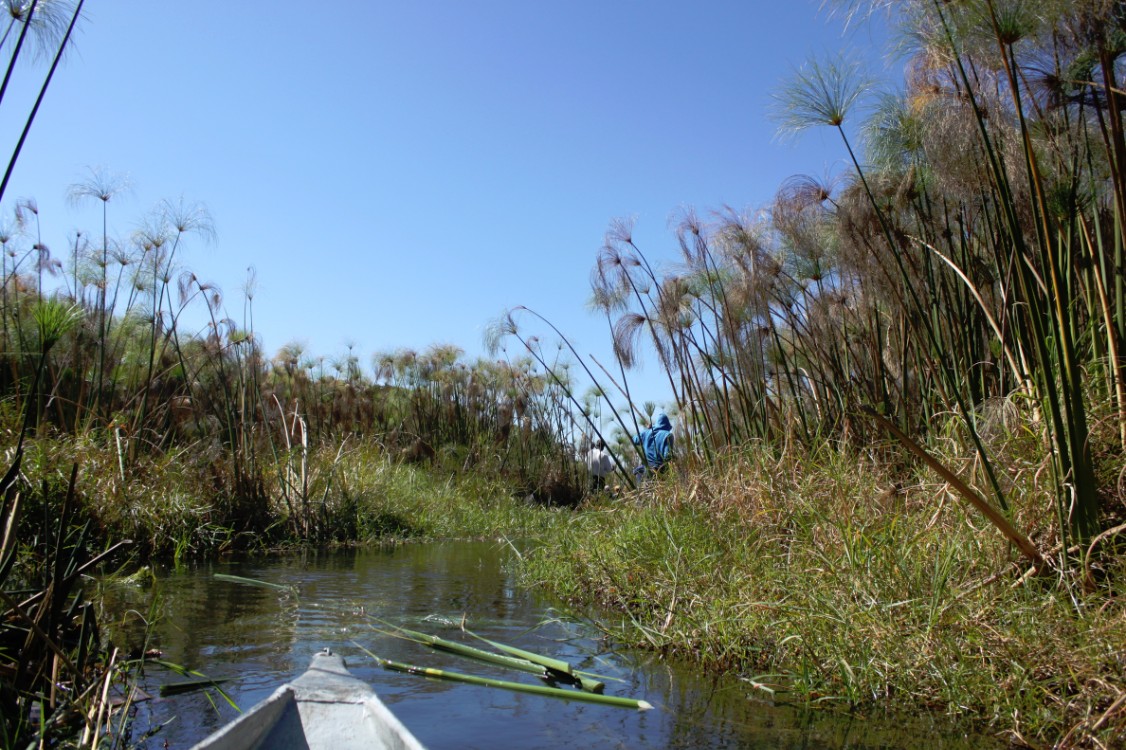 botswana_delta_2015_img0073