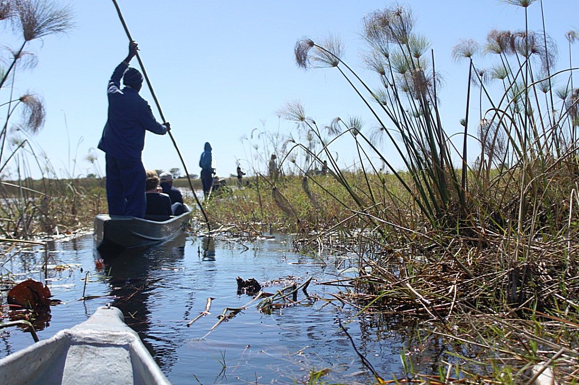 botswana_delta_2015_img0082