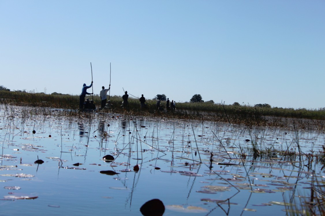 botswana_delta_2015_img0084