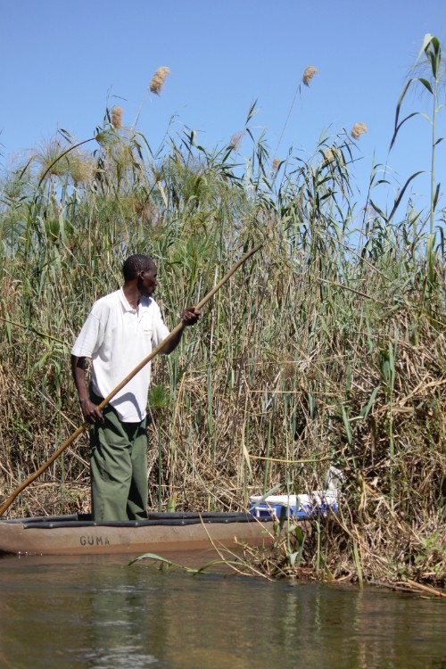 botswana_delta_2015_img0161