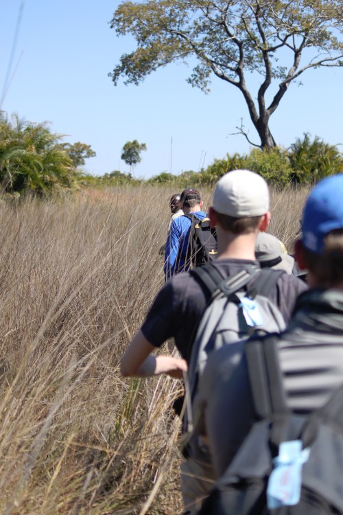 botswana_delta_2015_img0177