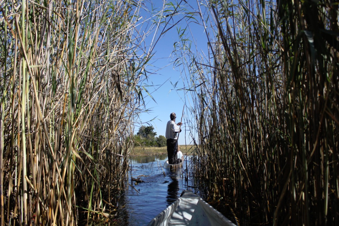 botswana_delta_2015_img0223