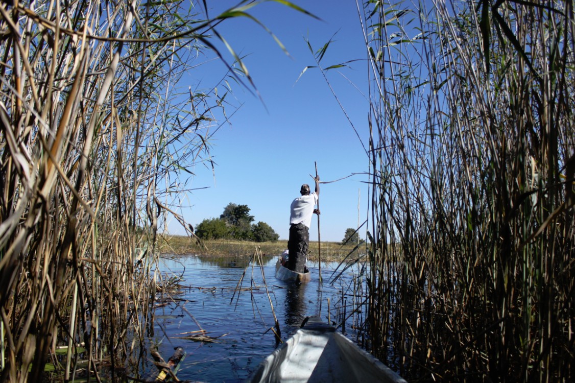 botswana_delta_2015_img0224