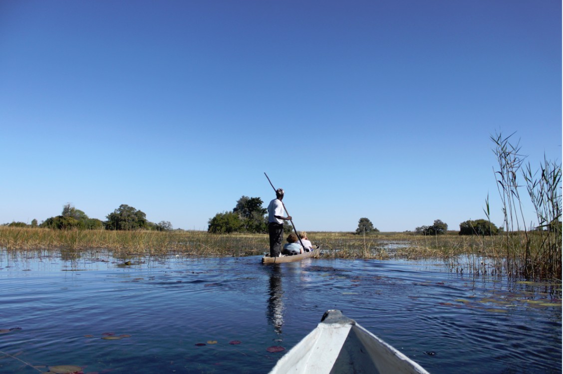 botswana_delta_2015_img0226