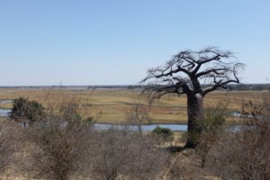 botswana_choberivercruise_2015_img0008