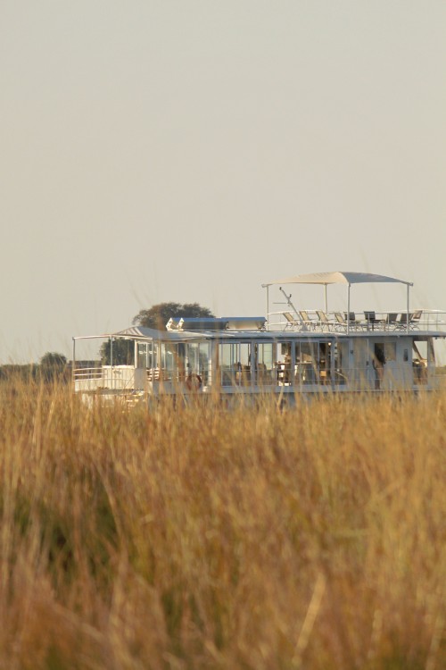 botswana_choberivercruise_2015_img0535