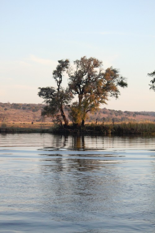 botswana_choberivercruise_2015_img0585