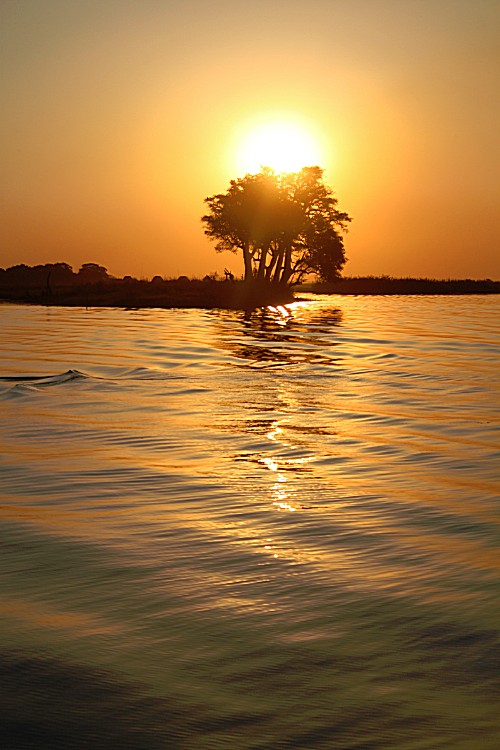 botswana_choberivercruise_2015_img0588