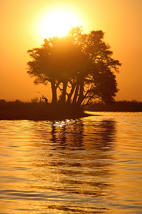 botswana_choberivercruise_2015_img0589