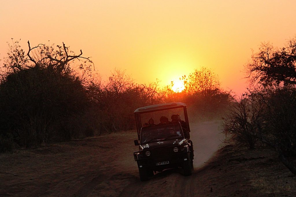 botswana_chobe_2015_img0010