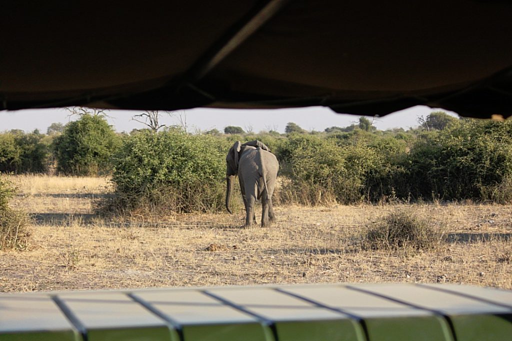 botswana_chobe_2015_img0098