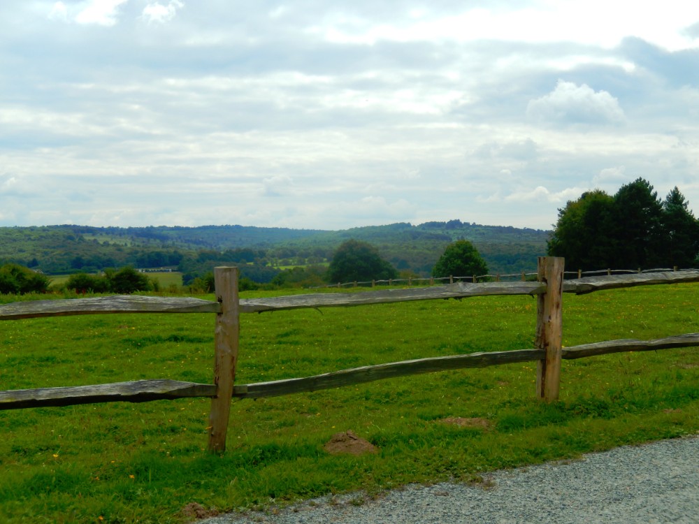 engeland_ashdownforrest_2016_img0021