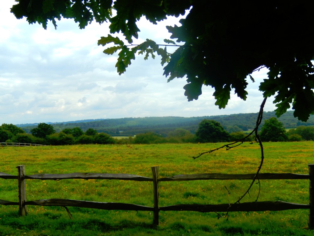 engeland_ashdownforrest_2016_img0022