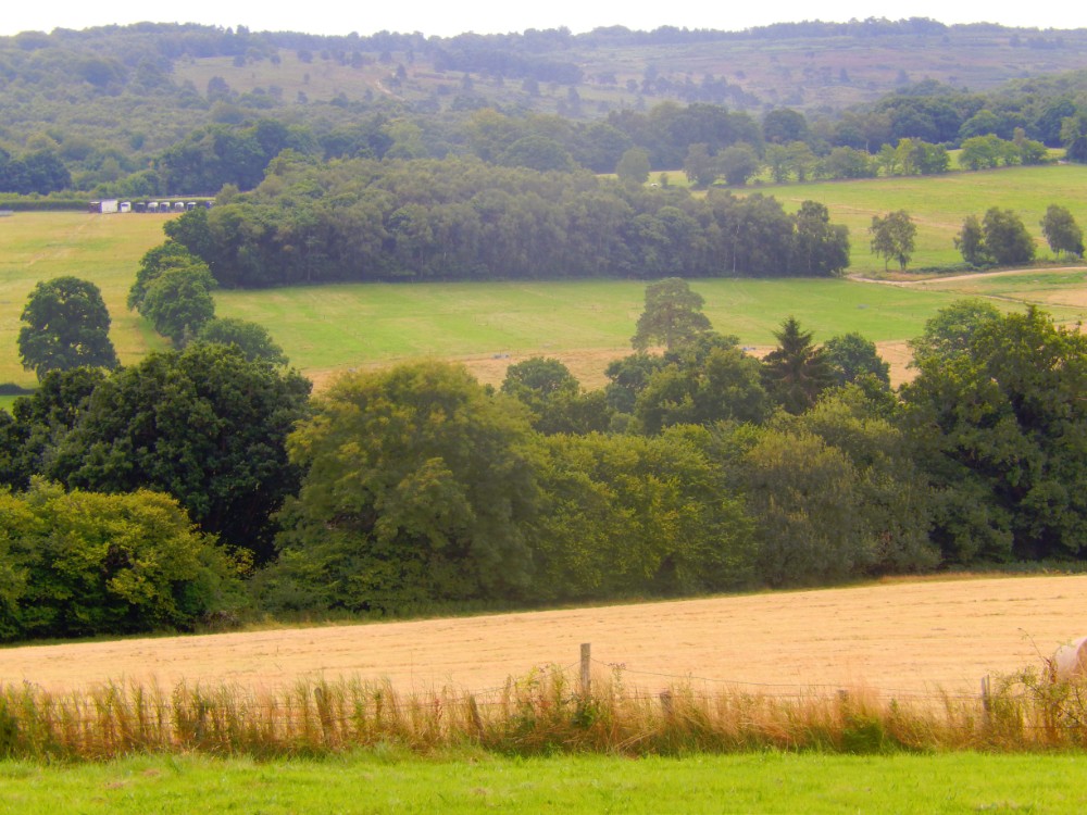 engeland_ashdownforrest_2016_img0031