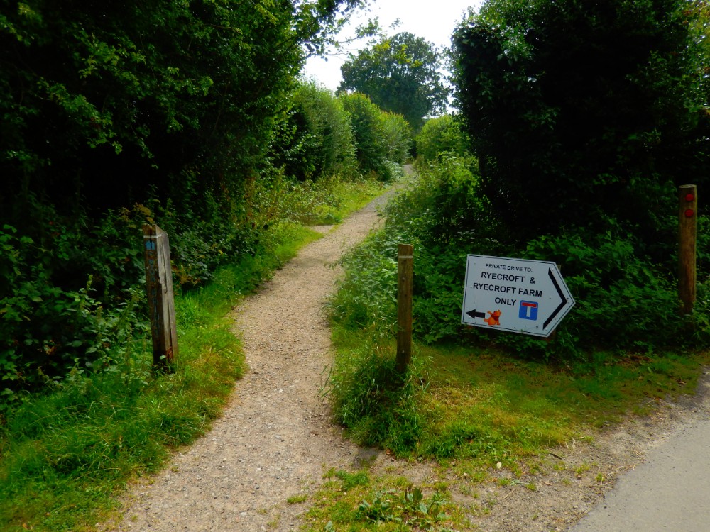 engeland_ashdownforrest_2016_img0043