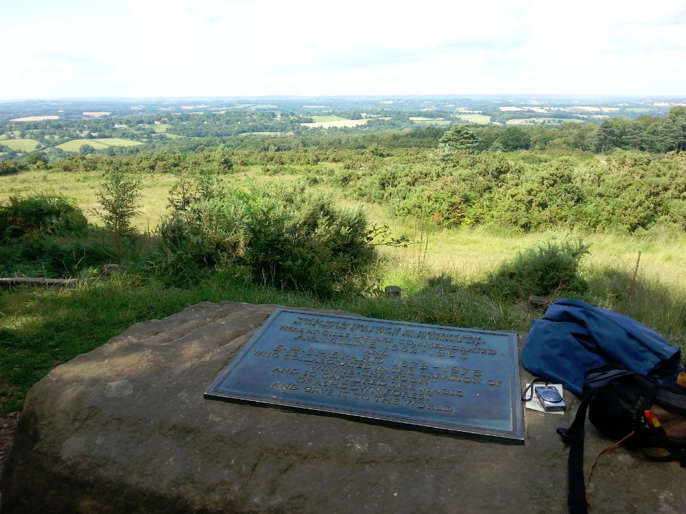 engeland_ashdownforrest_2016_img0082