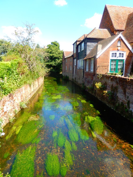 engeland_canterbury1_2016_img0123