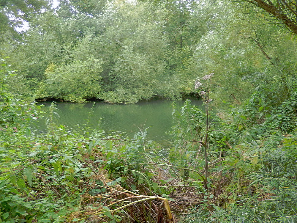 Engeland_Theemsvallij1_2016_Img0180