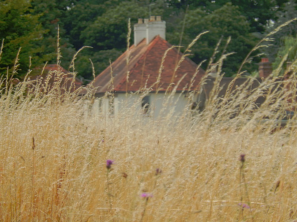 Engeland_Theemsvallij1_2016_Img0212